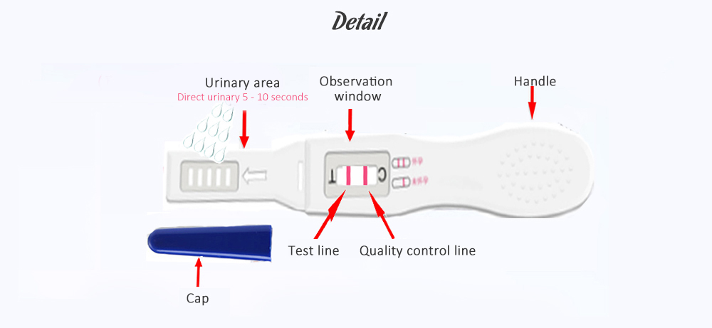 Yu You Early Pregnancy Test Paper Pen 2PCS